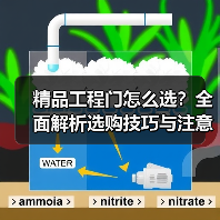精品工程门怎么选？全面解析选购技巧与注意事项（图2）