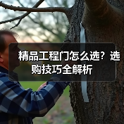 精品工程门怎么选？选购技巧全解析（图3）