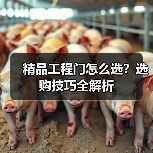 精品工程门怎么选？选购技巧全解析（图1）