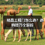 精品工程门怎么选？选购技巧全解析（图2）