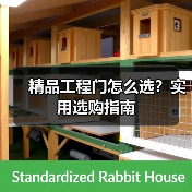 精品工程门怎么选？实用选购指南（图3）