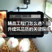 精品工程门怎么选？提升建筑品质的关键指南（图3）