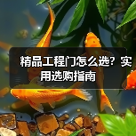 精品工程门怎么选？实用选购指南（图2）