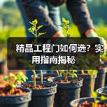 精品工程门如何选？实用指南揭秘（图2）