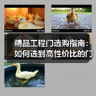精品工程门选购指南：如何选到高性价比的门？（图2）