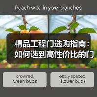 精品工程门选购指南：如何选到高性价比的门？（图4）