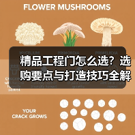 精品工程门怎么选？选购要点与打造技巧全解析（图3）