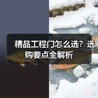 精品工程门怎么选？选购要点全解析（图1）