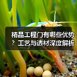精品工程门有哪些优势？工艺与选材深度解析（图2）