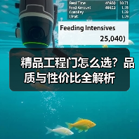 精品工程门怎么选？品质与性价比全解析（图4）