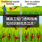 精品工程门选购指南：如何识别优质品质？（图3）