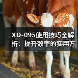 XD-095使用技巧全解析：提升效率的实用方法（图4）