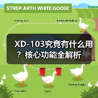 XD-103究竟有什么用？核心功能全解析（图1）