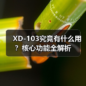 XD-103究竟有什么用？核心功能全解析（图4）