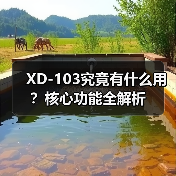 XD-103究竟有什么用？核心功能全解析（图3）