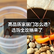 高品质家居门怎么选？选购全攻略来了（图3）
