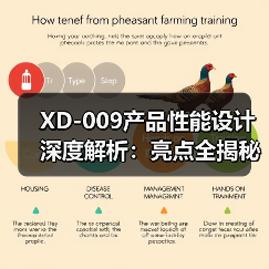 XD-009产品性能设计深度解析：亮点全揭秘（图2）