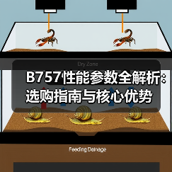 B757性能参数全解析：选购指南与核心优势（图3）