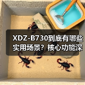 XDZ-B730到底有哪些实用场景？核心功能深度解析（图3）