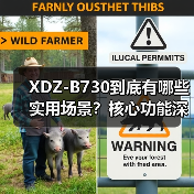 XDZ-B730到底有哪些实用场景？核心功能深度解析（图4）