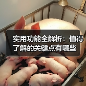 实用功能全解析：值得了解的关键点有哪些（图2）