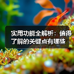 实用功能全解析：值得了解的关键点有哪些（图4）