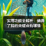 实用功能全解析：值得了解的关键点有哪些（图1）
