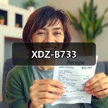 XDZ-B733（图3）