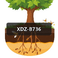 XDZ-B736（图4）