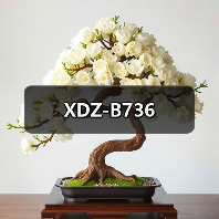 XDZ-B736（图1）
