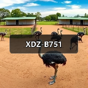 XDZ-B751（图1）