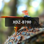 XDZ-B700（图1）