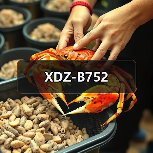 XDZ-B752（图2）