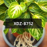 XDZ-B752（图4）