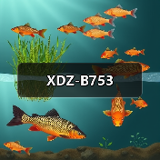 XDZ-B753（图4）
