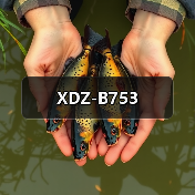 XDZ-B753（图2）