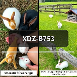 XDZ-B753（图3）