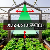 XDZ-B513(子母门)（图2）