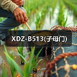 XDZ-B513(子母门)（图1）