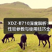XDZ-B710深度解析：性能参数与使用技巧全指南（图1）