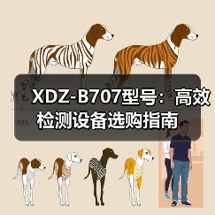 XDZ-B707型号：高效检测设备选购指南（图4）