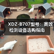 XDZ-B707型号：高效检测设备选购指南（图2）