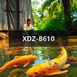 XDZ-B610（图2）