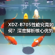XDZ-B705性能究竟如何？深度解析核心优势（图2）