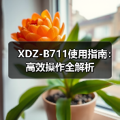 XDZ-B711使用指南：高效操作全解析（图2）