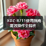 XDZ-B711使用指南：高效操作全解析（图4）