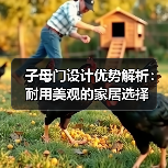 子母门设计优势解析：耐用美观的家居选择（图2）