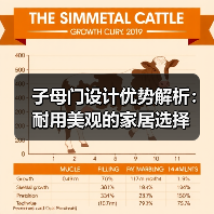 子母门设计优势解析：耐用美观的家居选择（图3）
