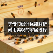 子母门设计优势解析：耐用美观的家居选择（图4）