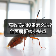 高效节能设备怎么选？全面解析核心特点（图1）